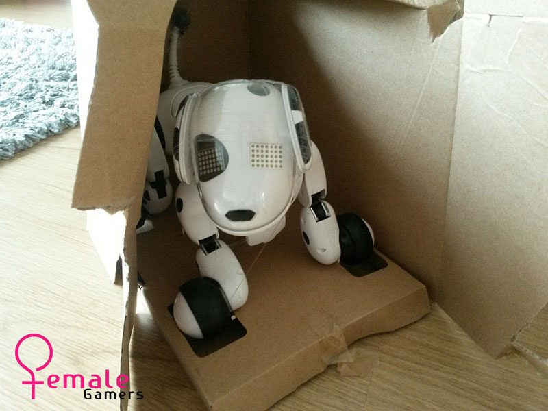 20151224_135328_resized