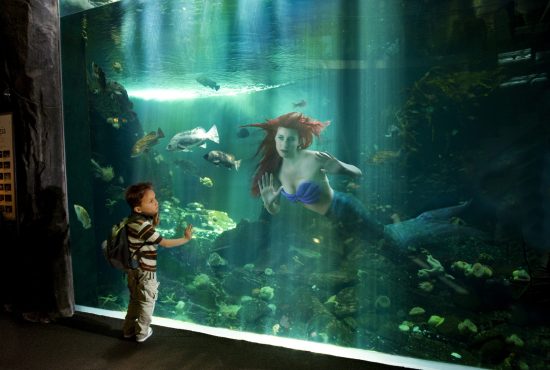 fallen-princesses-dina-goldstein-ariel