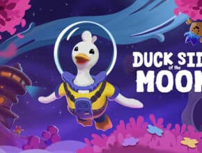 Duck Side of the Moon