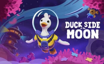 Duck Side of the Moon